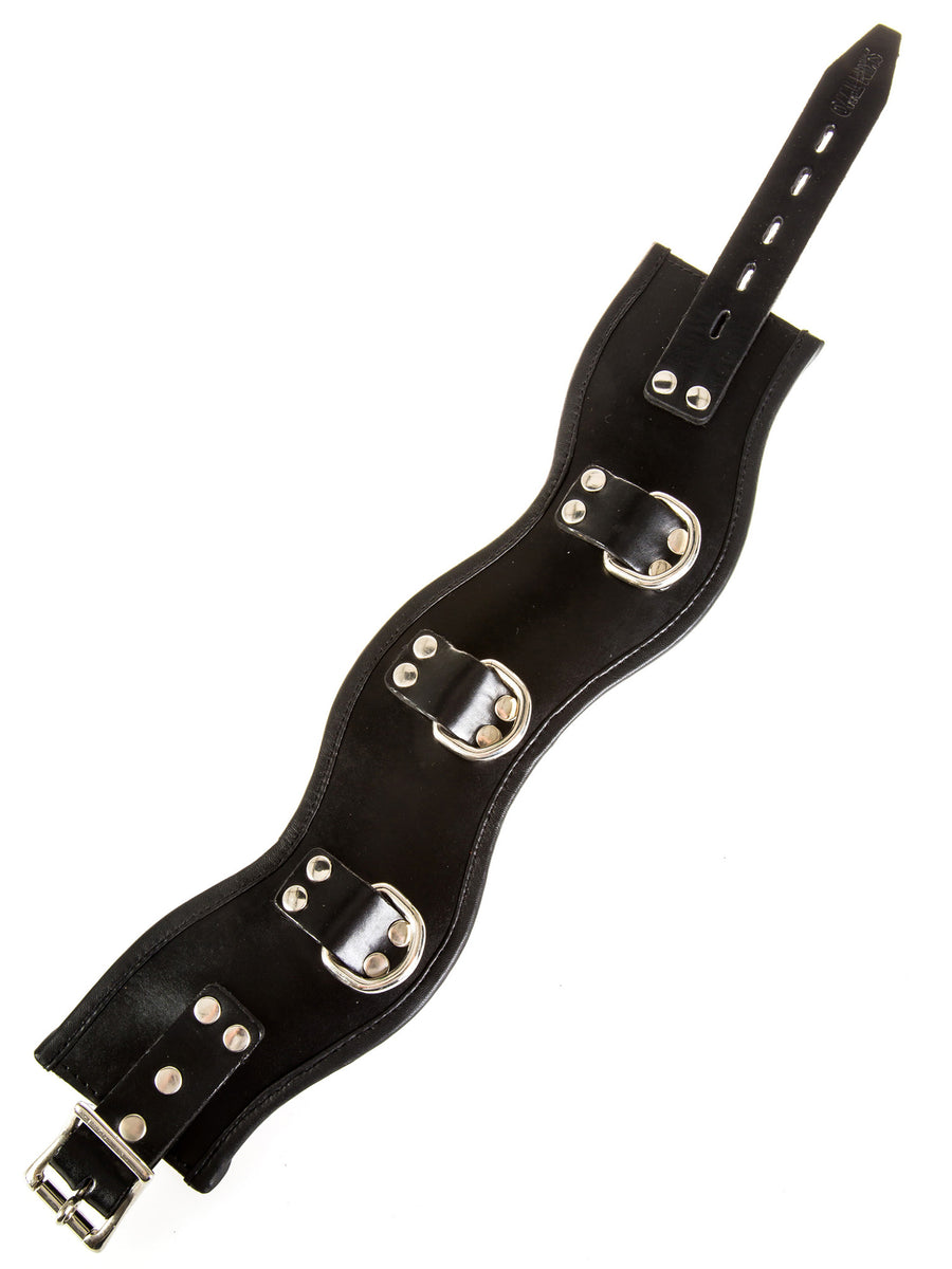 Leather Posture Collar in Black  Bondage Collars and Leads from Honour –  Skin Two UK