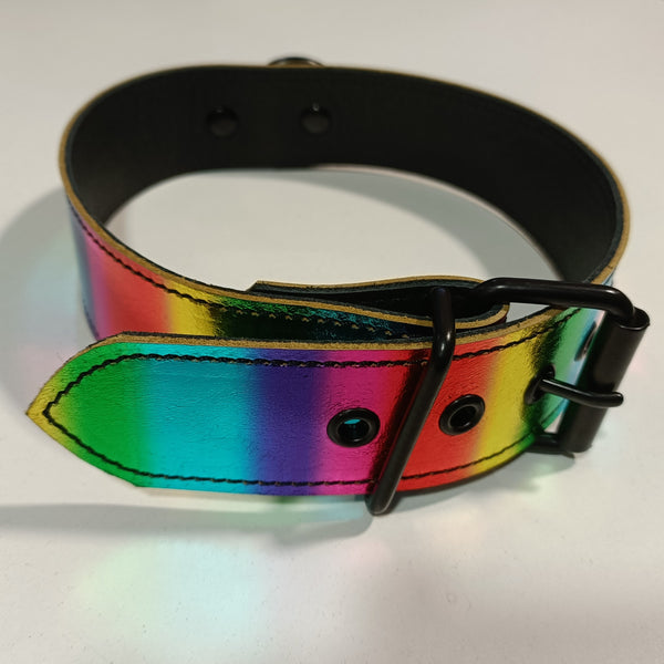 Clearance - Metallic Rainbow Collar